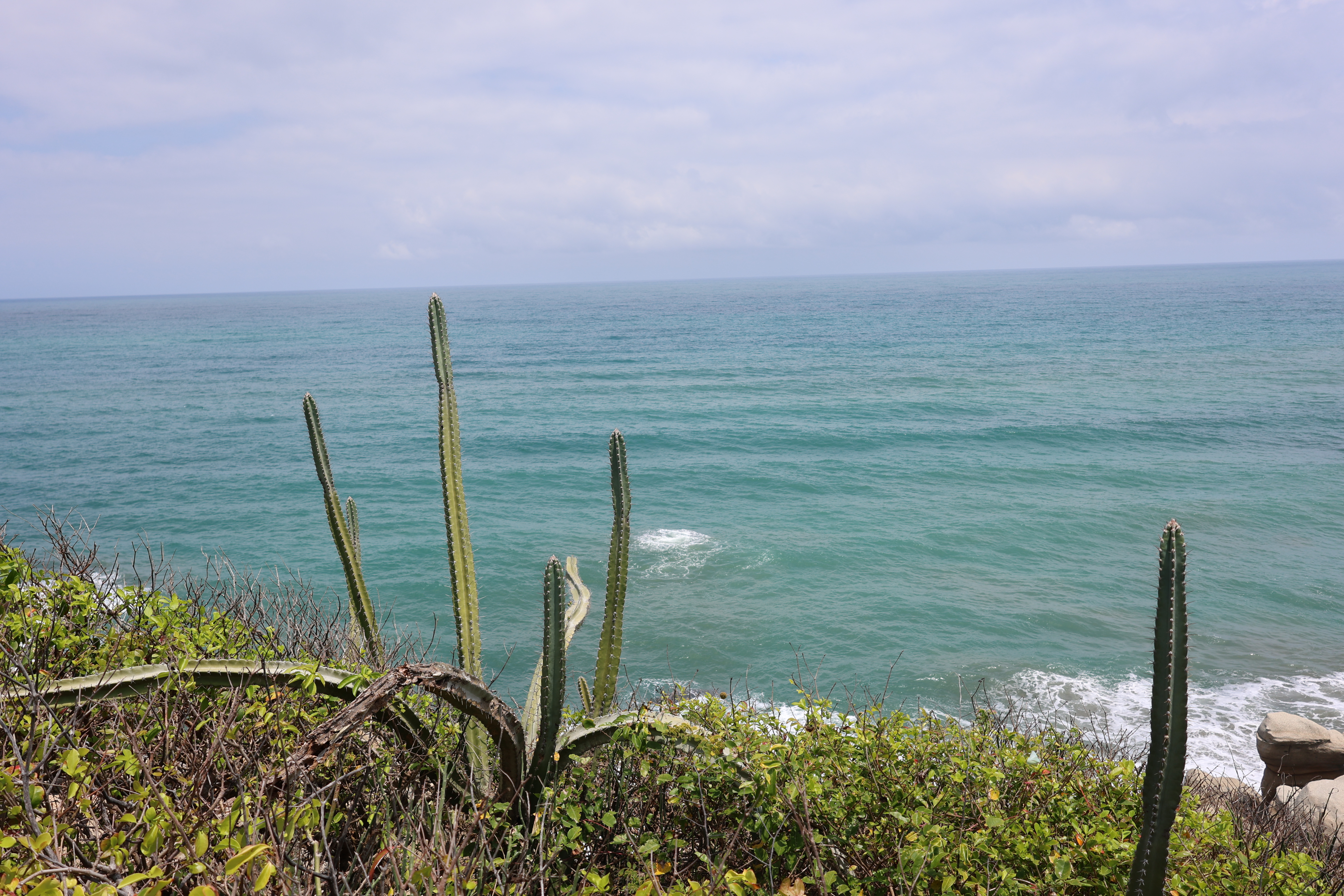 Recordar, integrar, transformar.